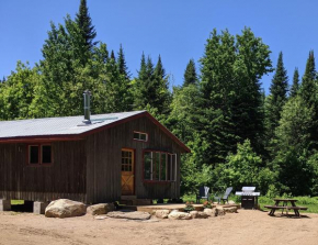 Meadowlark Cabin #5
